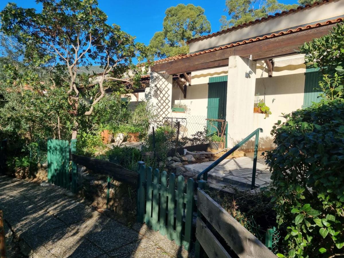 Studio Mas De La Plage By Interhome Cavalaire-sur-Mer Dış mekan fotoğraf